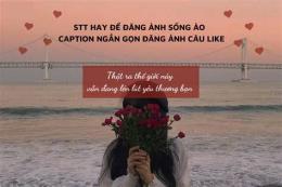 tính năng nổi bật stt hay về gà đá