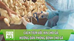 tính năng nổi bật thuốc chích ga da