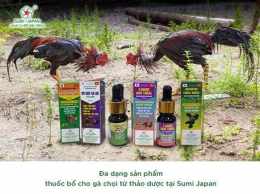 tính năng nổi bật thuốc dai da gà chọi