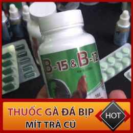 tính năng nổi bật thuốc gà đá b15