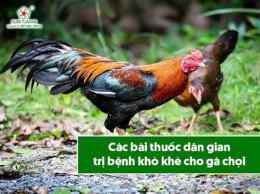 tính năng nổi bật thuoc kho khe cho ga da
