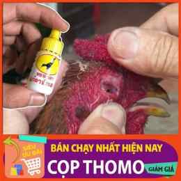 tính năng nổi bật thuốc nhỏ cho gà đá cựa sắt