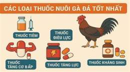 tính năng nổi bật thuoc nuoi ga da
