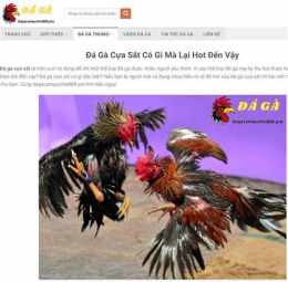 tính năng nổi bật tin tuc bat da ga moi nhat