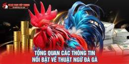 tính năng nổi bật tổng đá gà