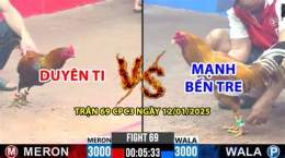 tính năng nổi bật trận đá gà duyên ti