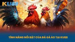 tính năng nổi bật trận gà sinh đôi đá
