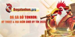 tính năng nổi bật trang đá gà uy tín thomo