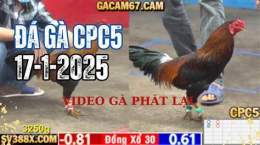 tính năng nổi bật truc tiep da ga c1 c2