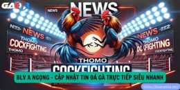 tính năng nổi bật trực tiep đá gà c3