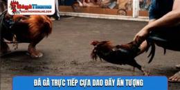 tính năng nổi bật trực tiếp đá gà cựa dao 388