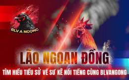 tính năng nổi bật trực tiếp đá gà hôm nay bảo sting