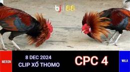 tính năng nổi bật trực tiếp đá gà thomo cpc 4