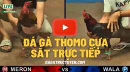 tính năng nổi bật truc tiep tho mo ga da