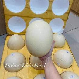 tính năng nổi bật trứng gà đà điểu