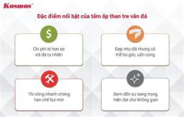 tính năng nổi bật tt đá gà c 2