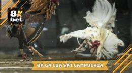 tính năng nổi bật video da ga cua sat campuchia moi nhat