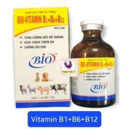 tính năng nổi bật vitamin b1, b6, b12 cho gà đá