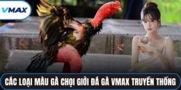 tính năng nổi bật vmax đá gà