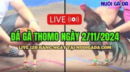 tính năng nổi bật xem đá gà campuchia.live