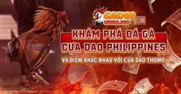 tính năng nổi bật xem đá gà cựa dao philippines