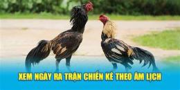 tính năng nổi bật xem ngày đá gà chiến kê ra trận