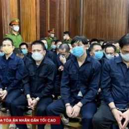 tổ chức đá gà