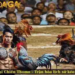 trận đá gà campuchia