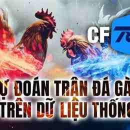 tran da ga don hay nhat
