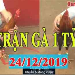 trận gà đá 1 tỷ