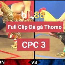 trang chủ đá gà thomo