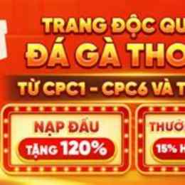 trang đá gà 247