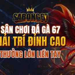 trang da ga 67 com