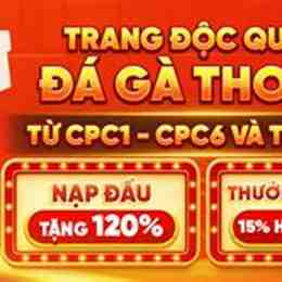 trang đá gà uy tín thomo