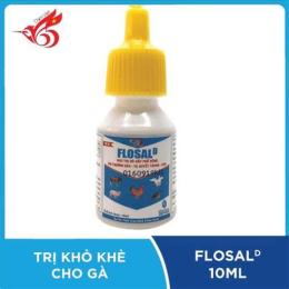 trị khò khè cho gà đá