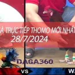 trực tiếp đá gà 28 7 cpc3