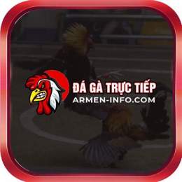 trực tiếp đá gà 88 c6