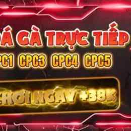 trực tiếp đá gà c1 hôm nay c3