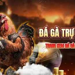 truc tiep da ga c3 12/1