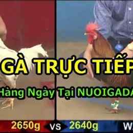 truc tiep da ga d6