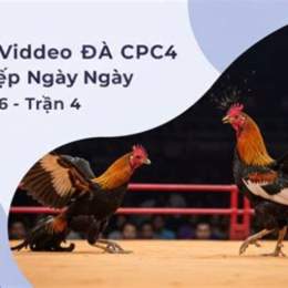 trực tiếp đá gà ngày 29 tháng 5