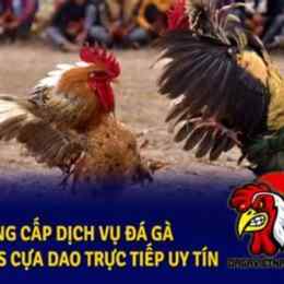 trực tiếp đá gà philippines tl2