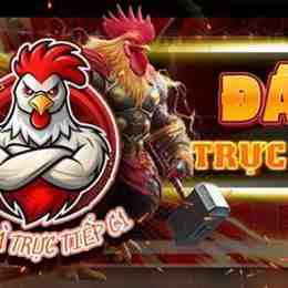 trực tiếp đá gà tre giải