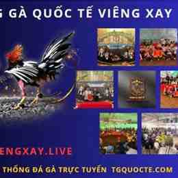 trực tiếp đá gà viêng xay hôm nay