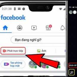 truc tiếp đâ gà
