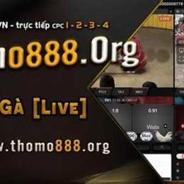 truc tiep ga da 88