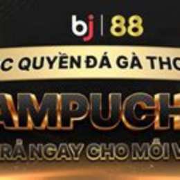 trực tiếp gà đá thomo 88