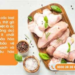viêm dạ dày có ăn được thịt gà không