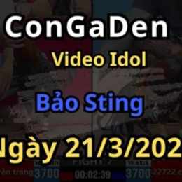 xem đá gà bảo sting