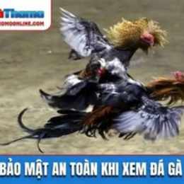 xem da ga trũ tiep